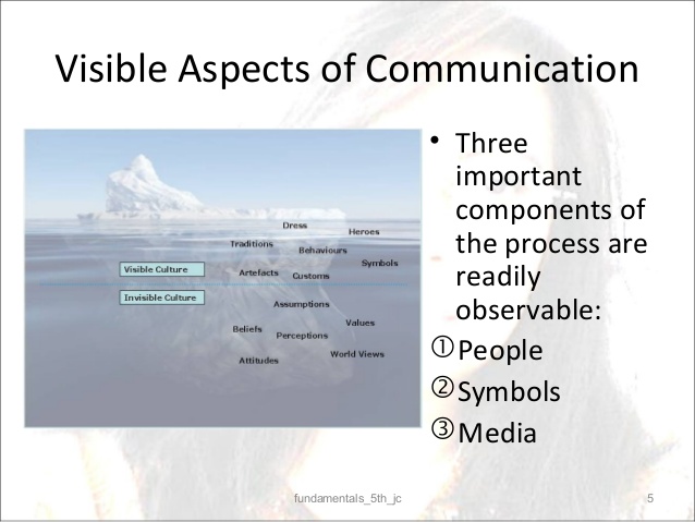 fundamentals of human communication pdf